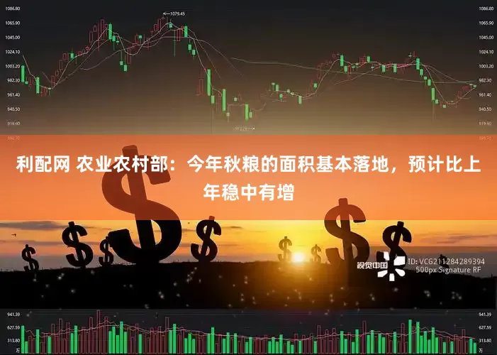 利配网 农业农村部：今年秋粮的面积基本落地，预计比上年稳中有增