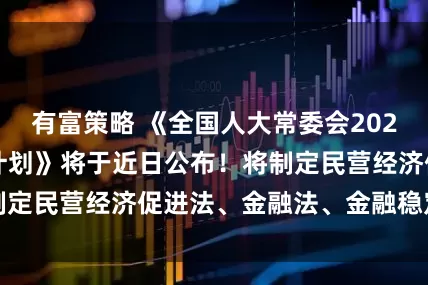 有富策略 《全国人大常委会2025年度立法工作计划》将于近日公布！将制定民营经济促进法、金融法、金融稳定法等